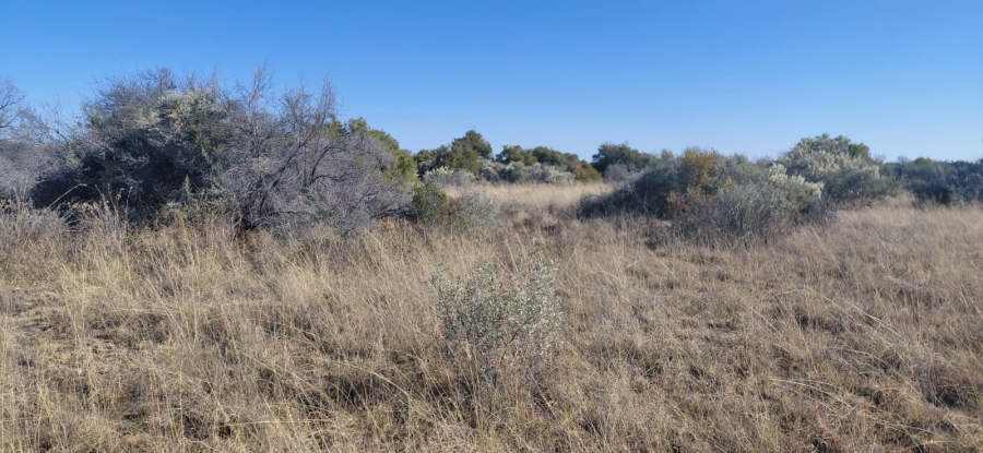 Commercial Property for Sale in Reivilo Northern Cape